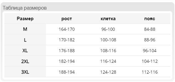 Зимовий напівкомбінезон робочий, PRO-WIN-B SBP Reis Польша 1951111198 фото